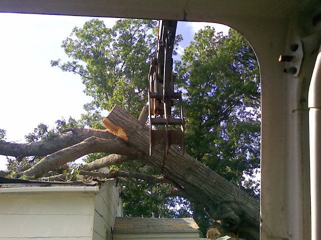 hurricane cleanup tree removal