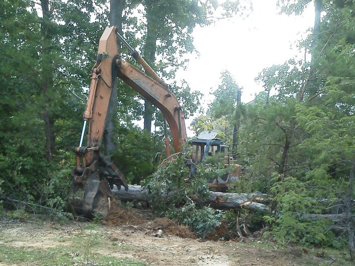 land clearing in southern md