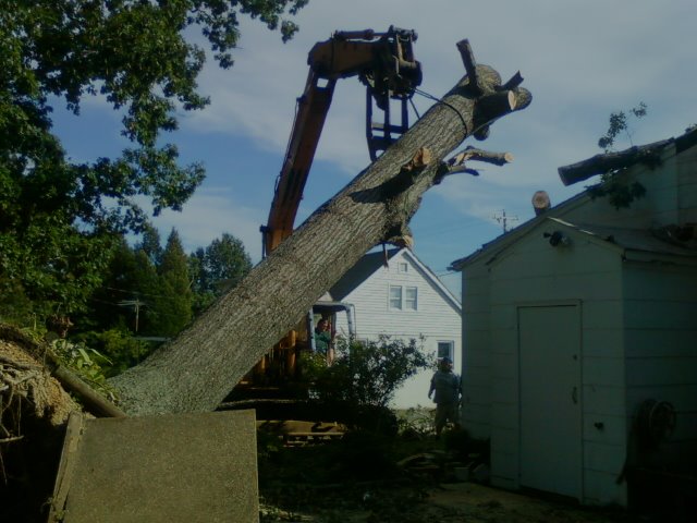 tree-removal-service-southern-md-mechanicsville-st-marys-county